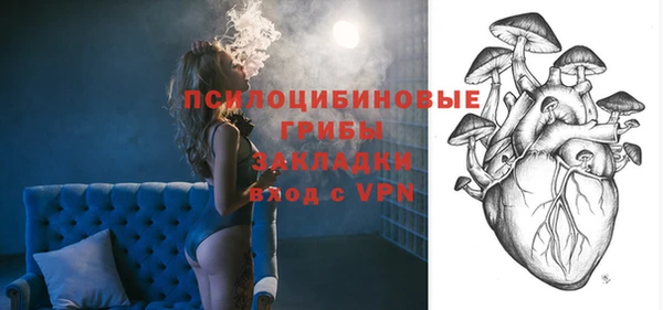 хмурый Белокуриха