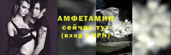 хмурый Белокуриха