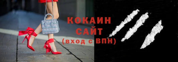 хмурый Белокуриха