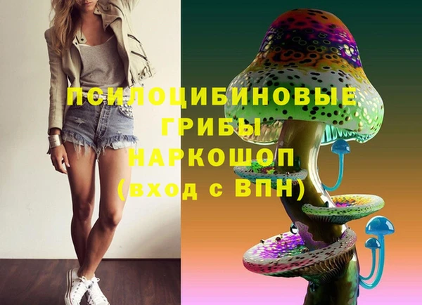 хмурый Белокуриха