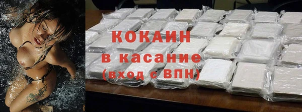 хмурый Белокуриха