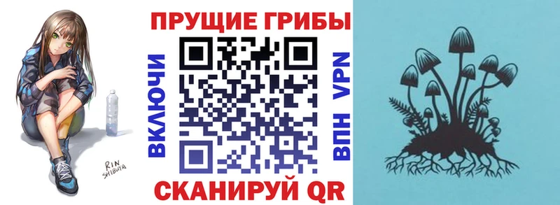 Псилоцибиновые грибы Psilocybe купить закладку Гороховец